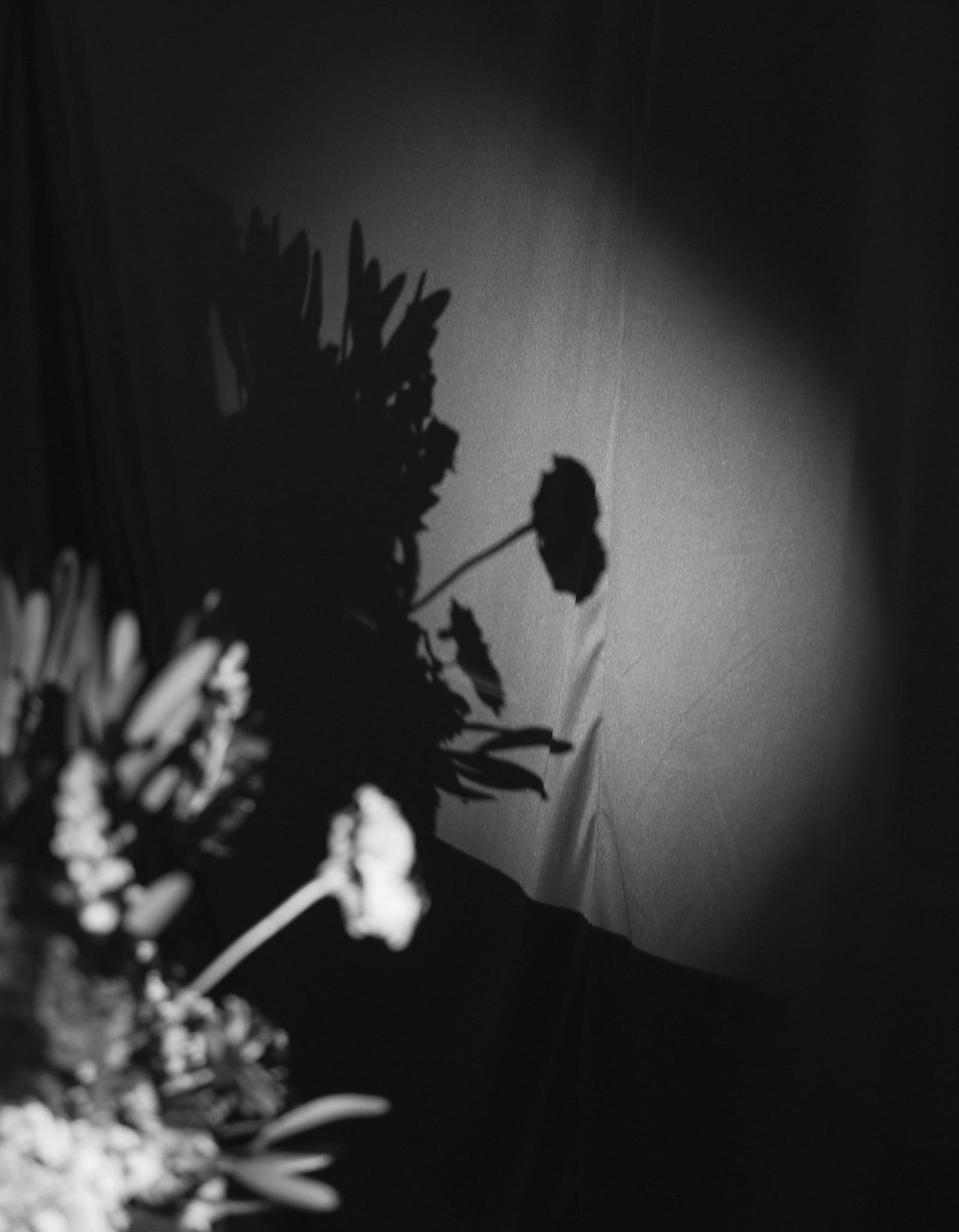 AURA-20